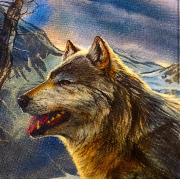 Round Beach Towel “Dreamcatcher Wolf 🐺 Tribal Print” 60” NWOT - Picture 2 of 8